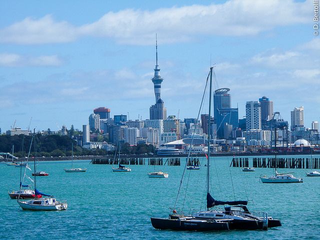 Picture 1 of Auckland city