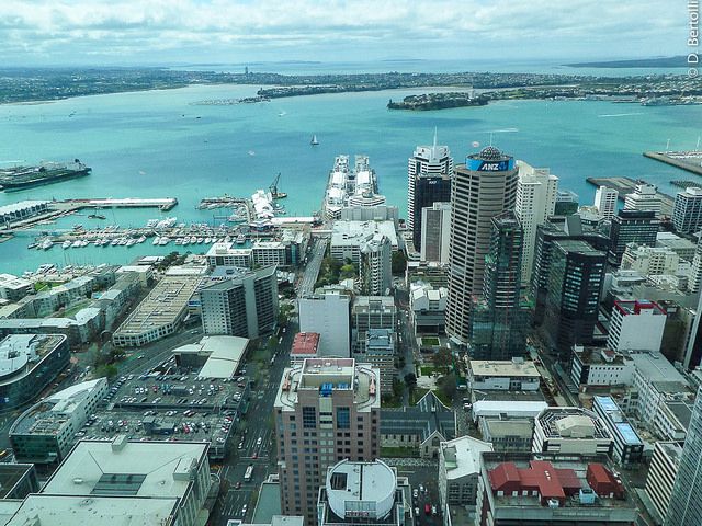Picture 3 of Auckland city