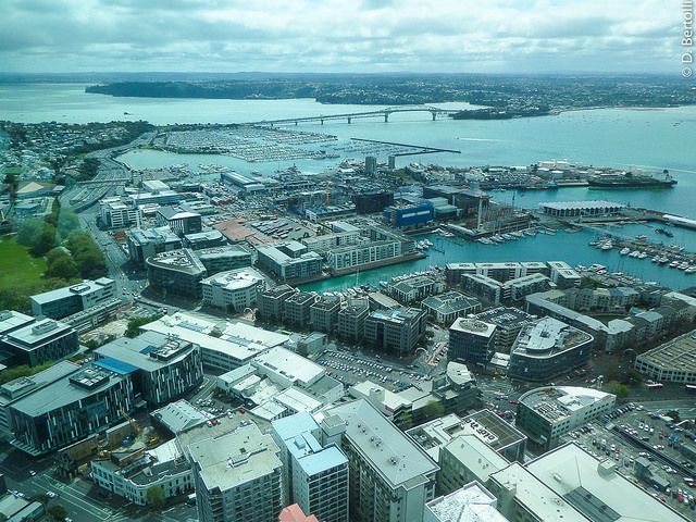 Picture 6 of Auckland city