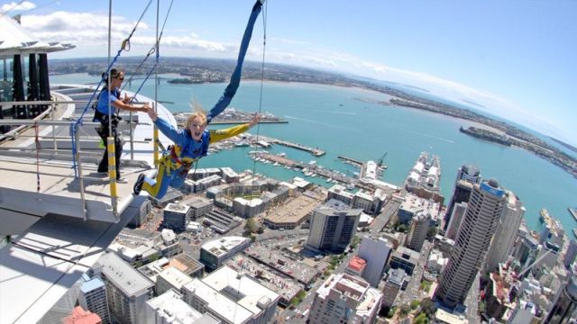Picture 7 of things to do in Auckland city
