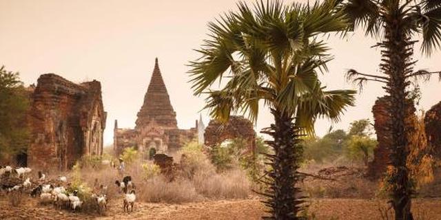 Picture 11 of things to do in Bagan city