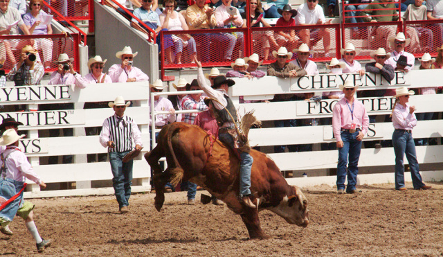 Picture 12 of things to do in Cheyenne city