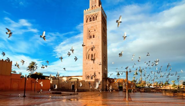Iconic Picture of Marrakech city