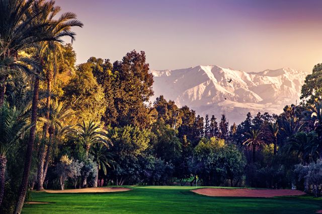 Picture 10 of things to do in Marrakech city