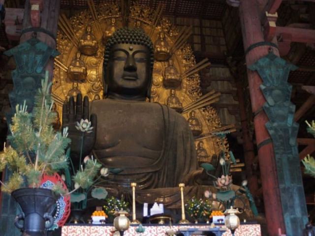 Picture 10 of things to do in Nara city