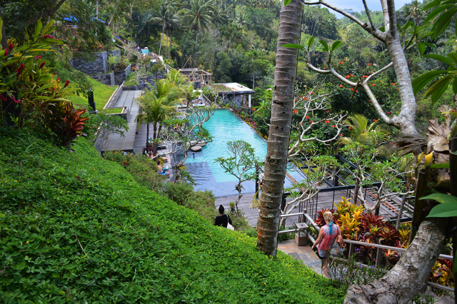 Picture 11 of things to do in Ubud city