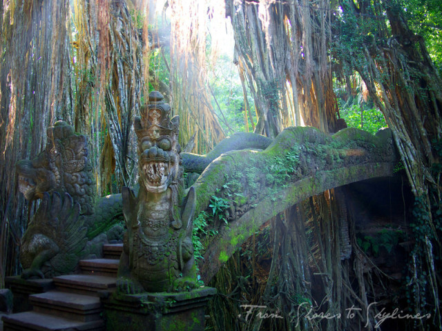 Picture 8 of things to do in Ubud city