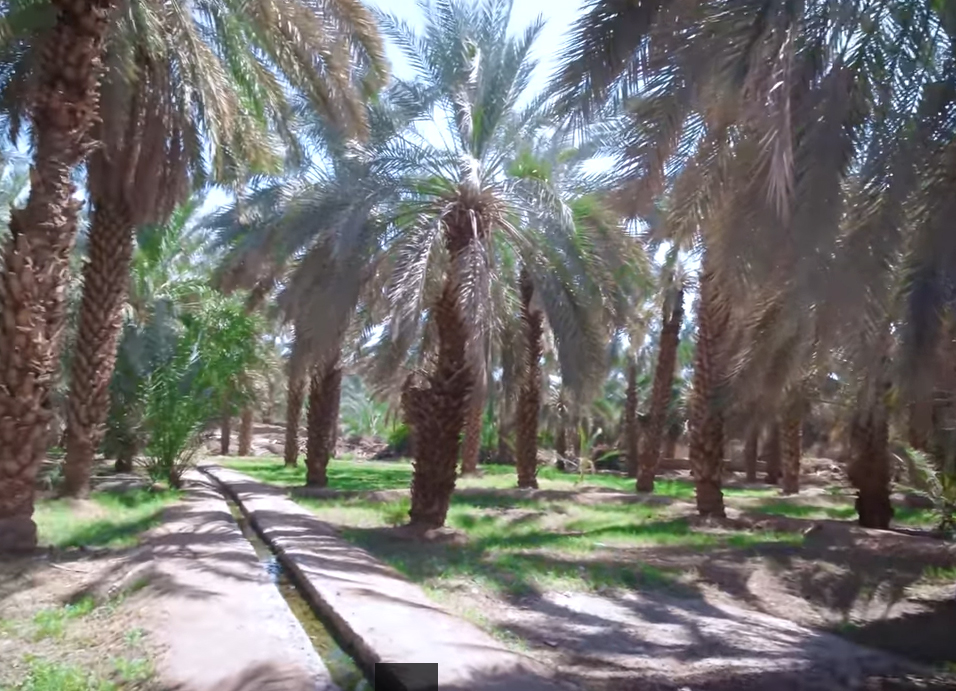 Picture 8 of things to do in Medinah city